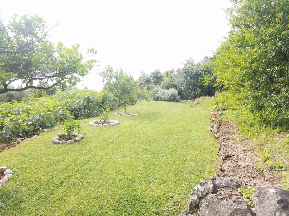 Marivo Guest House Molunat Exterior foto